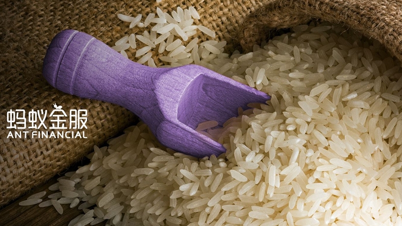 دولت چین برای رهگیری برنج از بلاک چین استفاده می‌کند