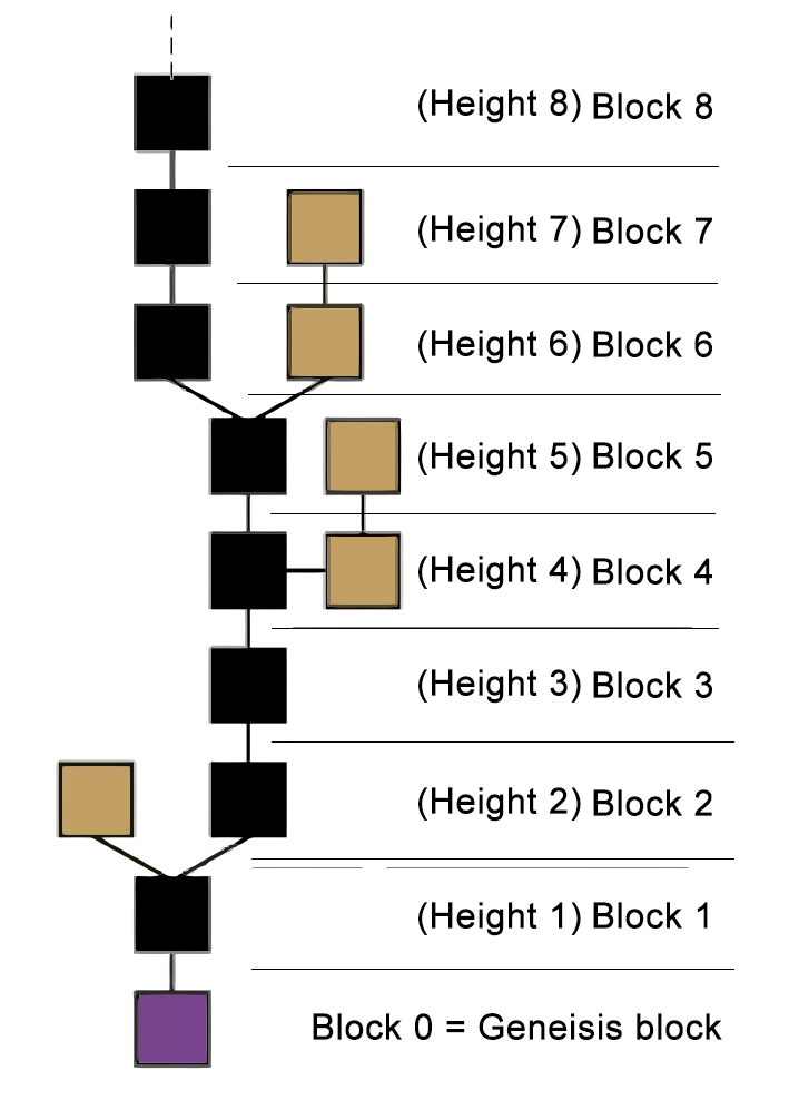 شماره یا ارتفاع بلاک (block height) در یک بلاک چین چیست؟