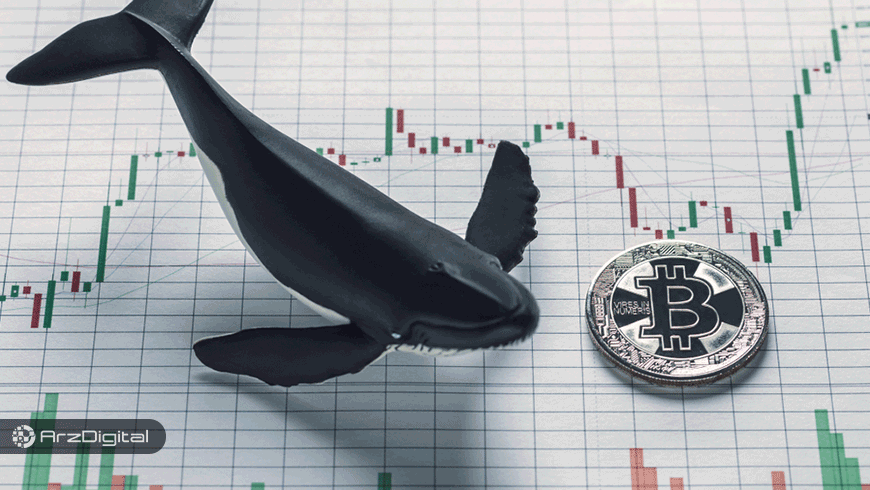 فعالیت نهنگ‌ها چه خبر خوب و بدی برای بازار بیت کوین دارد؟