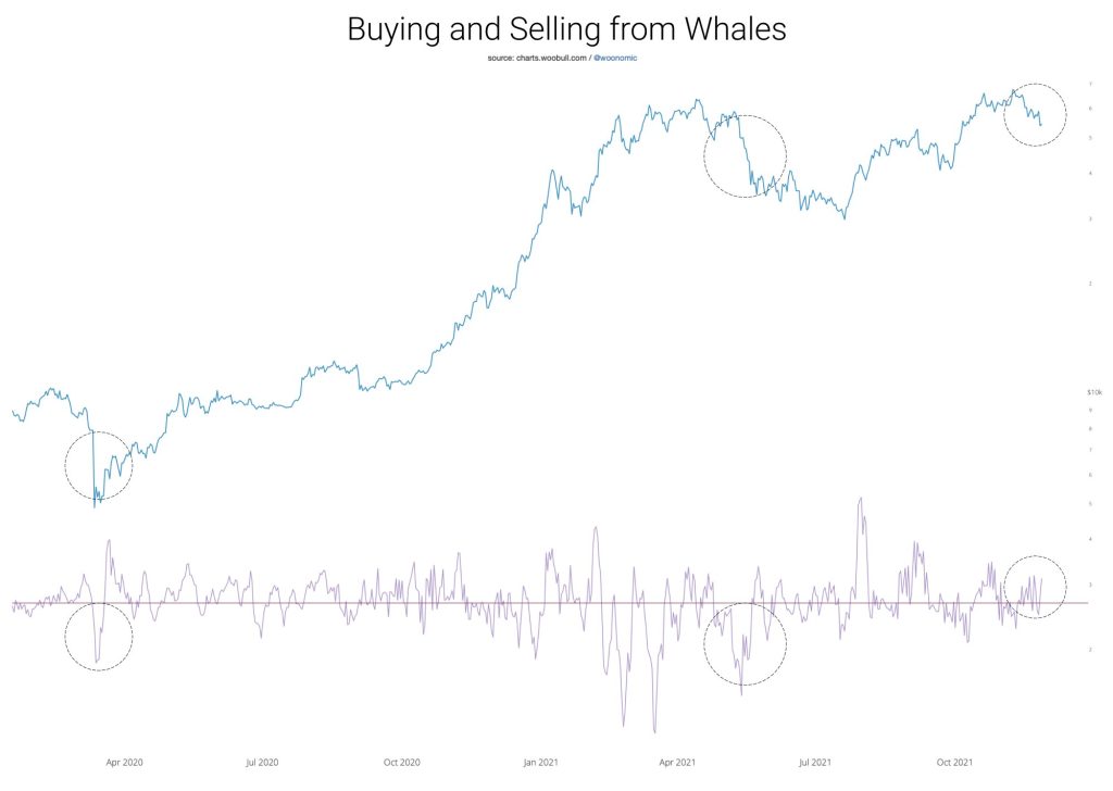 وضعیت بازار: نهنگ‌های بیت کوین مشغول خرید در کف ۵۳ هزار دلاری هستند