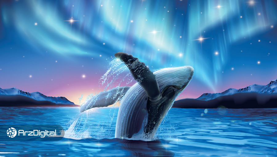 دو توکن متاورسی که بزرگترین نهنگ‌های اتریوم اخیراً در آنها سرمایه‌گذاری کرده‌اند
