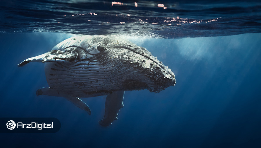 نهنگ‌های اتریوم در حال انباشت یک توکن ناشناس هستند