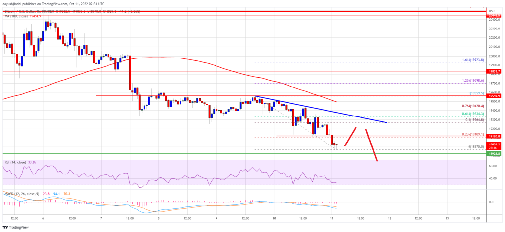 Bitcoin price analysis: the most important supports and resistances facing the price