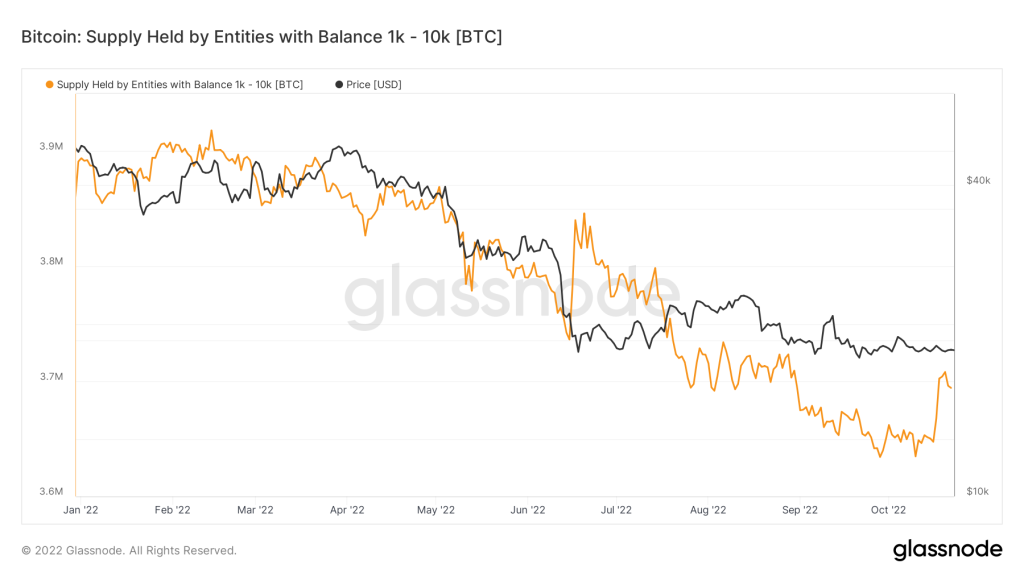 Fresh data: Small investors have prevented Bitcoin from falling below $18,000