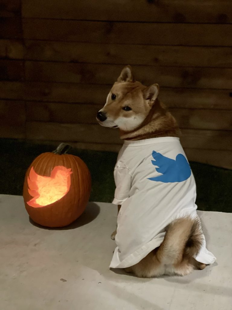 The wave of tokens containing the name of Twitter and Dogecoin after Elon Musk's controversial tweet