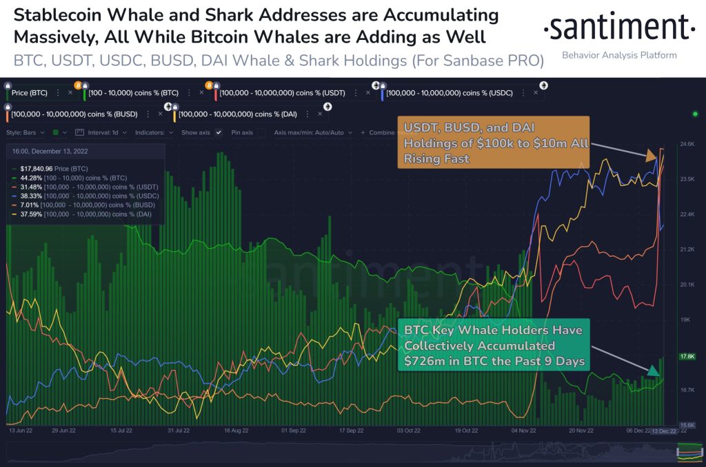 Such Data: Whales Are Massively Hoarding Bitcoin and Stablecoins