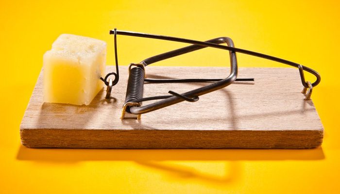 پنیر مفت فقط در تله موش پیدا می‌شود!